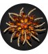 SB219 - Korean crystal flower brooch